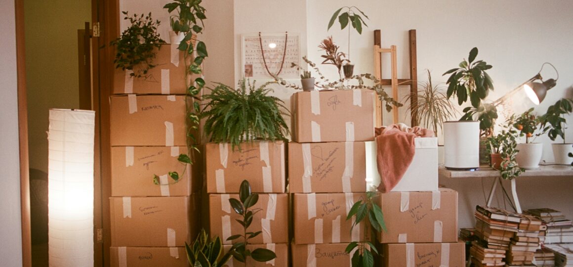 declutter today