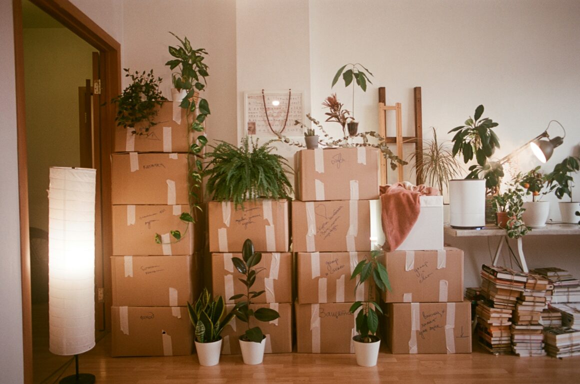 declutter today