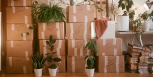 declutter today