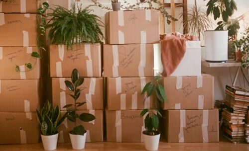 declutter today