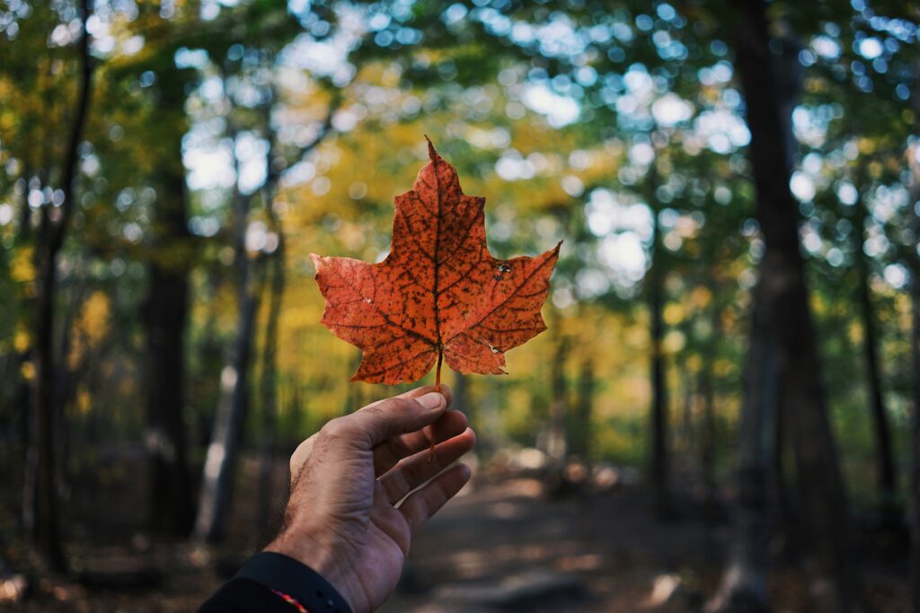 Migrar a Canadá