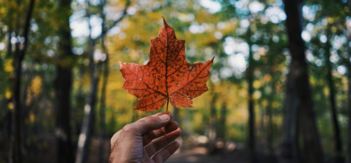 Migrar a Canadá