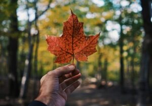 Migrar a Canadá