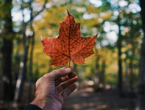 Migrar a Canadá